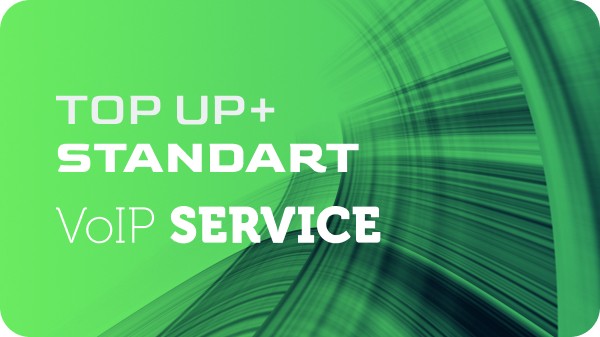 VoIP Standard